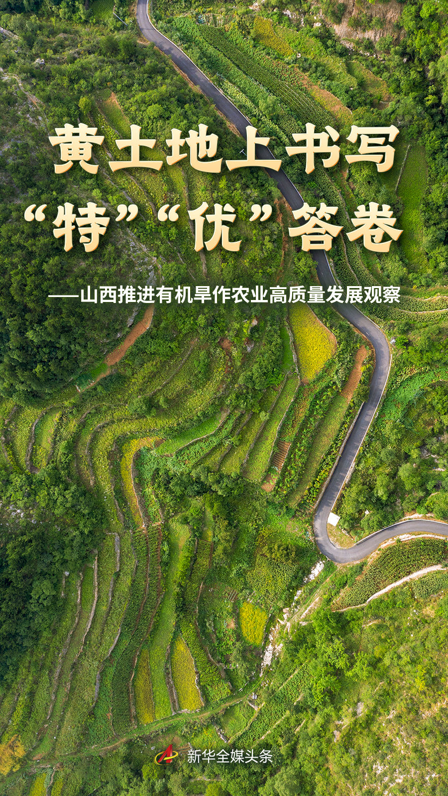 深度解析：麻将的策略与技巧 - 麻将胡了